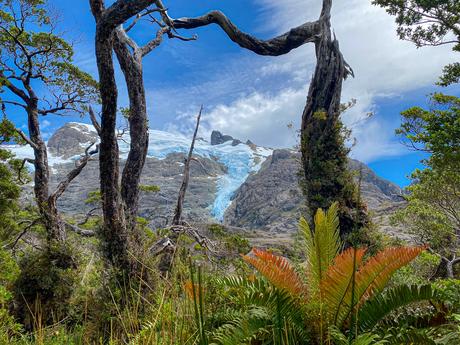 CCLM inaugura la primera Galería de Áreas Protegidas de Chile ©The Pew Charitable