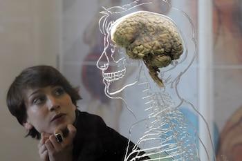 Un análisis revela nuevas luces sobre la biología molecular de la esquizofrenia Un análisis revela nuevas luces sobre la biología molecular de la esquizofrenia