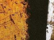 Travis Fripp Live Coventry Cathedral (2010)