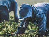 Aprobado nuevo reglamento Extranjería, flexible accesible.