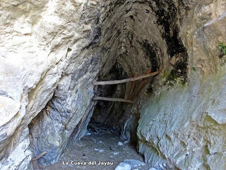 Vega Enol-Vegarredonda-Mirador de Ordiales-El Porru la Cueva Armada-El Jayáu