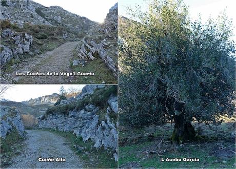 Vega Enol-Vegarredonda-Mirador de Ordiales-El Porru la Cueva Armada-El Jayáu