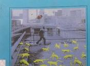 Ampliación campo batalla, Michel Houellebecq