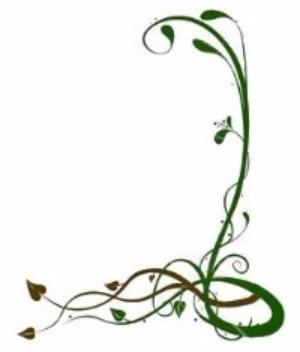 Newsletter 23 November 2024