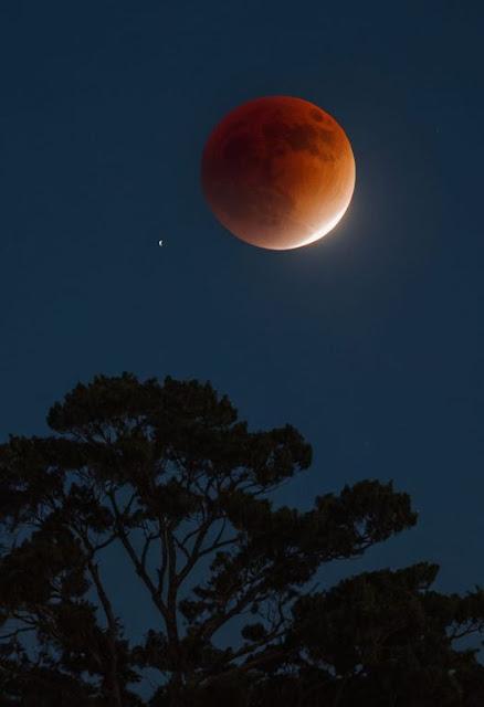En Valencia, la riada se llevó 137.000 coches en dos horas…Un torero, un militar... ¿y un obispo?