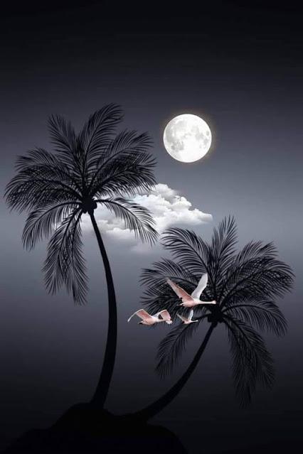 En Valencia, la riada se llevó 137.000 coches en dos horas…Un torero, un militar... ¿y un obispo?