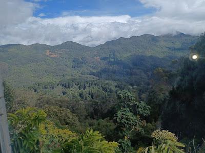 Cocina de Colombia: Bogotá Cocina de Colombia: Bogotá