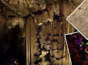 Breve crónica Encuentro Ibérico Biología Subterránea (Nerja, Málaga)