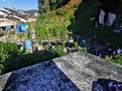 Camino Santiago, Ribadeo-Lourenzá (XXIV)