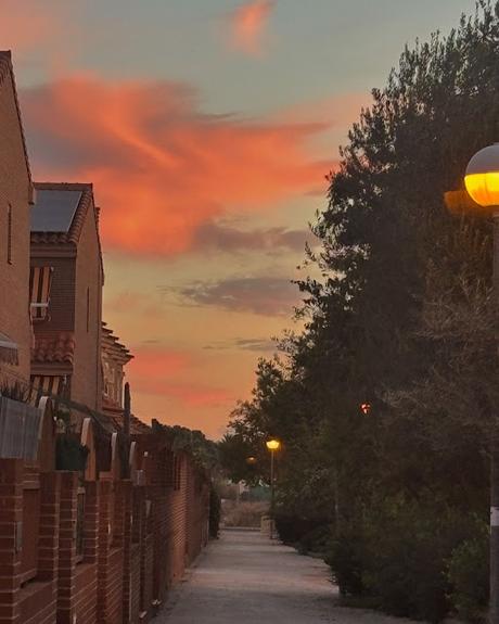 🪻 De Lunes y entre flores 💐