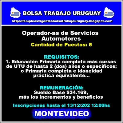 Operador-as de Servicios Automotores
