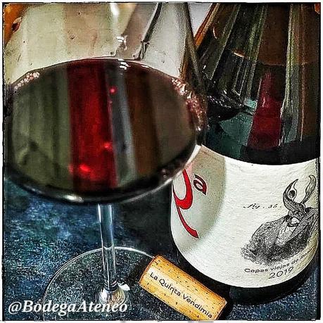 Quinta Vendimia Tinto 2019 Cepas Viejas de Soria Quinta Vendimia Tinto 2019 Cepas Viejas de Soria