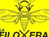 Quinta Vendimia Tinto 2019 Cepas Viejas Soria