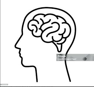 Los plásticos desde diferentes prismas 🥤🌊