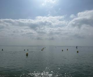 Los plásticos desde diferentes prismas 🥤🌊