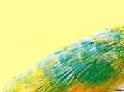 Reseña: vulnerables, Sigrid Núñez. (Anagrama, septiembre 2024)