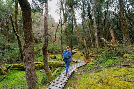 Tasmania