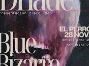 Driade Blue Bizarre perro parte atrás coche