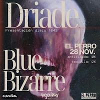 Concierto de Driade y Blue Bizarre en El perro de la parte de atrás del coche