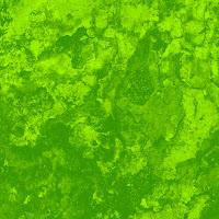 Pirámide estrenan África Rajada