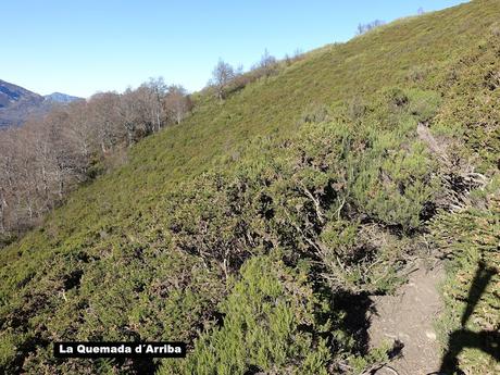 Bezanes-La Vega Brañagallones-Cantu l´Osu