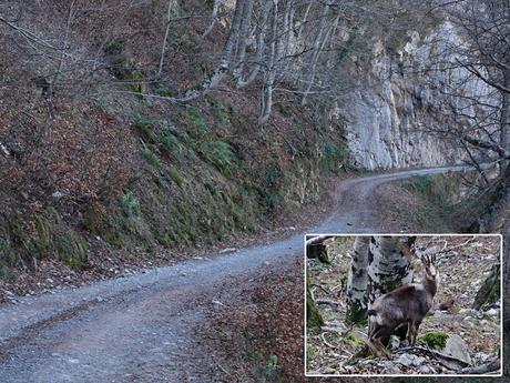 Bezanes-La Vega Brañagallones-Cantu l´Osu