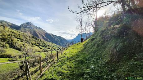 Camino al Hayedo de Vallina Negra