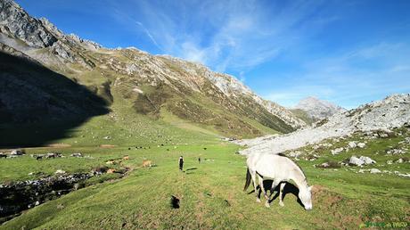 Caballo en las inmediaciones del Refugio del Meicín