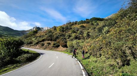 Desvío de la carretera