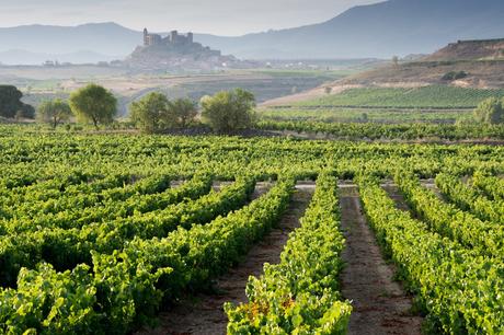 10 mejores regiones vinícolas para visitar en Europa Rioja