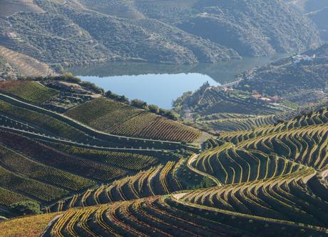 Valle del Duero