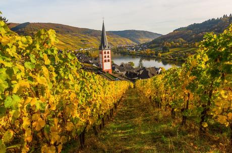 10 mejores regiones vinícolas para visitar en Europa Mosela