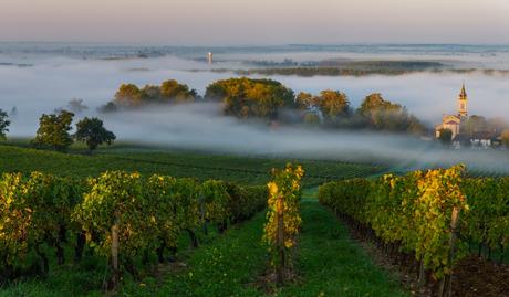 10 mejores regiones vinícolas para visitar en Europa Burdeos