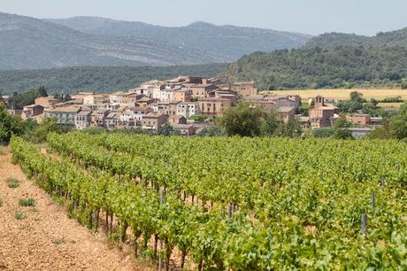 10 mejores regiones vinícolas para visitar en Europa Cataluña