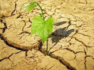 Lanzamiento de la Red Empresarial Iberoamericana por un Crecimiento Verde en la COP29: un paso hacia la sostenibilidad global