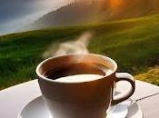 6.033- marcha noche...