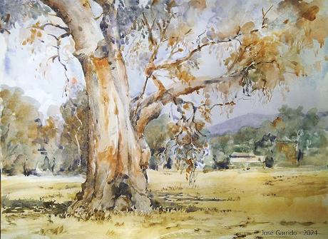 PALETA Y PIGMENTOS II - Acuarelas Octubre y Noviembre 2014