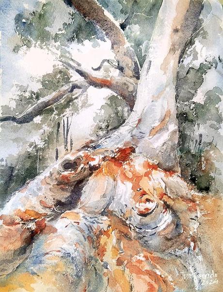 PALETA Y PIGMENTOS II - Acuarelas Octubre y Noviembre 2014