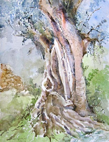 PALETA Y PIGMENTOS II - Acuarelas Octubre y Noviembre 2014