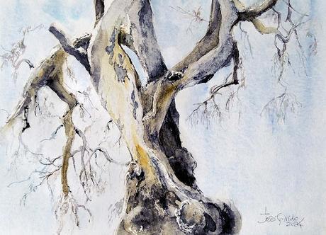 PALETA Y PIGMENTOS II - Acuarelas Octubre y Noviembre 2014