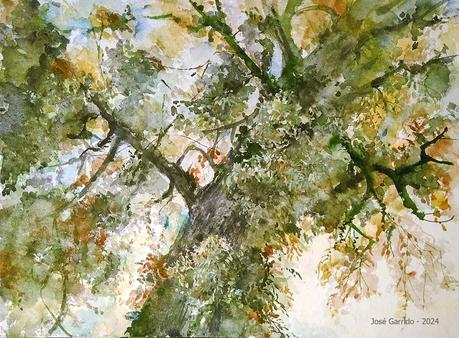 PALETA Y PIGMENTOS II - Acuarelas Octubre y Noviembre 2014