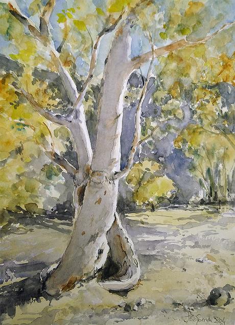 PALETA Y PIGMENTOS II - Acuarelas Octubre y Noviembre 2014