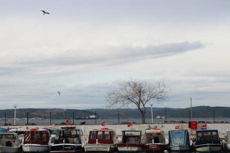 Cabo De Buena Esperanza | Costa Cruceros: guía de cruceros y excursiones Cabo De Buena Esperanza | Costa Cruceros: guía de cruceros y excursiones
