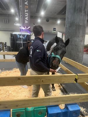 IFEMA MADRID HORSE WEEK 2024