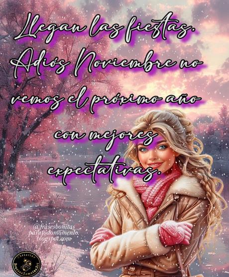 Llegan las fiestas. Adiós Noviembre no vemos el próximo año con mejores expectativas.