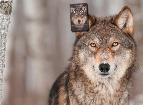 adventures in wonderland $ 1 Depósito