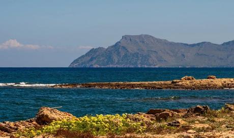 Palma y Sóller – Una ruta en bus y tren por Mallorca Palma y Sóller – Una ruta en bus y tren por Mallorca