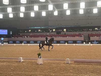 IFEMA MADRID HORSE WEEK 2024 (II parte)