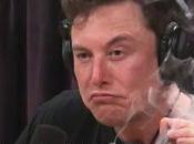 Elon Musk, Gangsta's Paradise