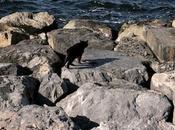 Crucero días Mediterráneo desde Barcelona enero 2025 Costa Cruceros